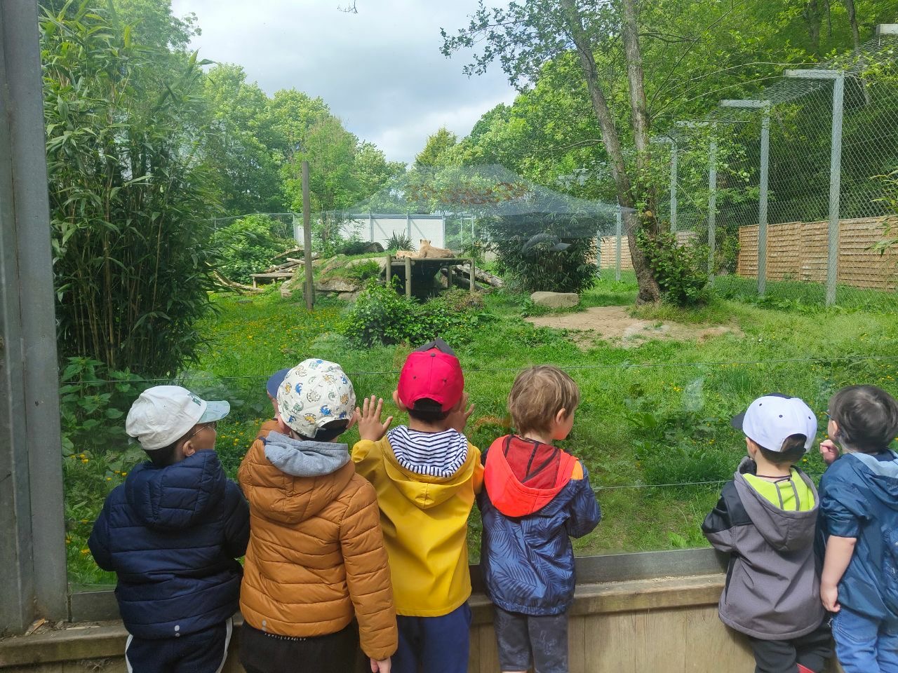 Zoo Tregomeur